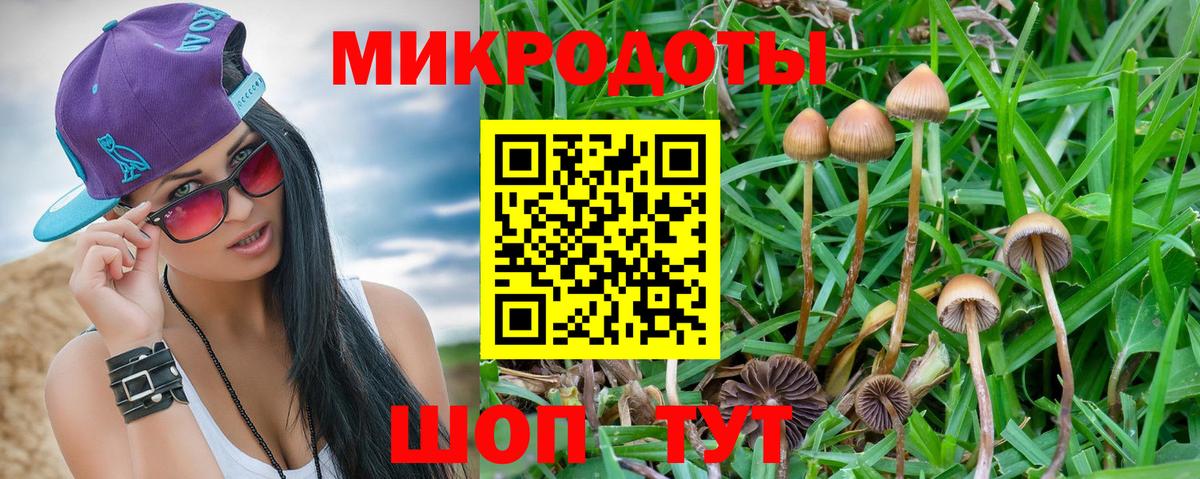 Псилоцибиновые грибы GOLDEN TEACHER Протвино
