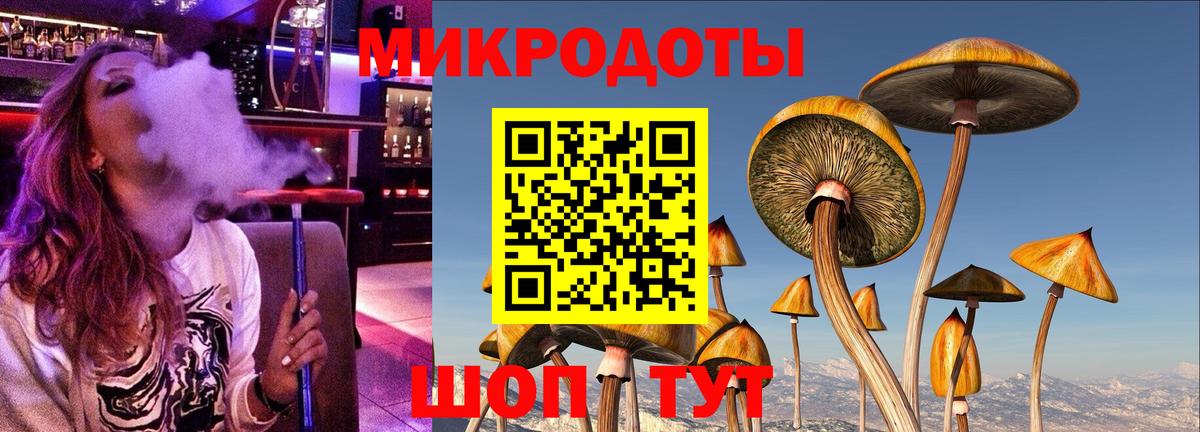 Протвино  Псилоцибиновые грибы Psilocybine cubensis  Вход с VPN 